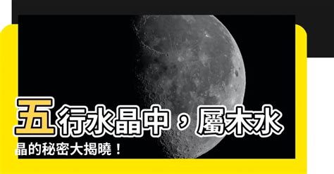 木系水晶|屬木的水晶指南：釋放大自然的力量，改善健康 